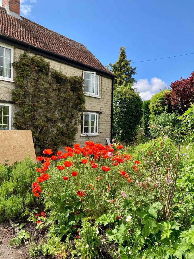 Charming Modernized Country Cottage Near Mere, Wiltshire Mere  Zewnętrze zdjęcie