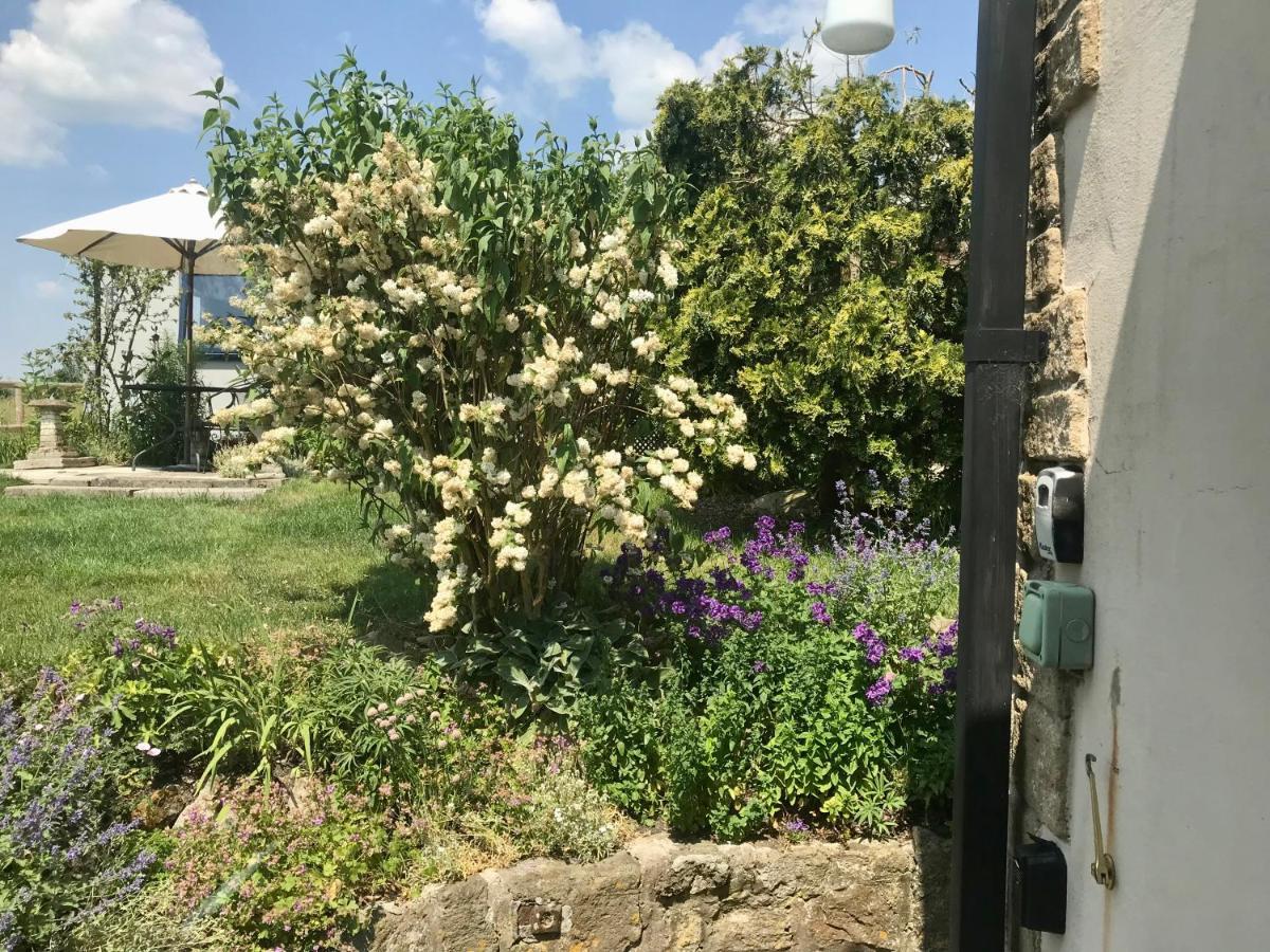 Charming Modernized Country Cottage Near Mere, Wiltshire Mere  Zewnętrze zdjęcie